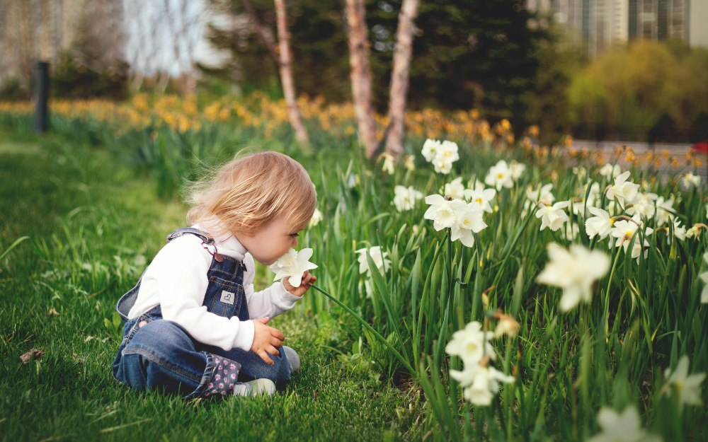 The agile approach to small and sustainable growth