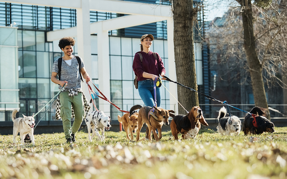 Got a Side Hustle? Don’t Forget Your Tax